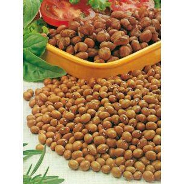 2510  Droogbonen Bruine N. Hollandse 100 gr