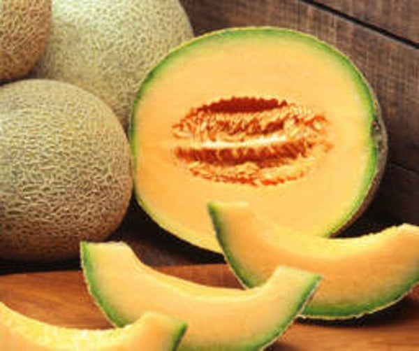 Cantaloupmeloen