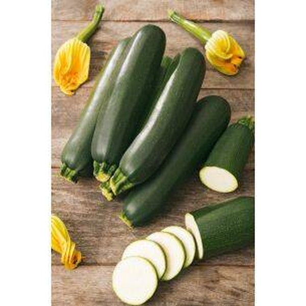 0540 Courgette Black Besuty