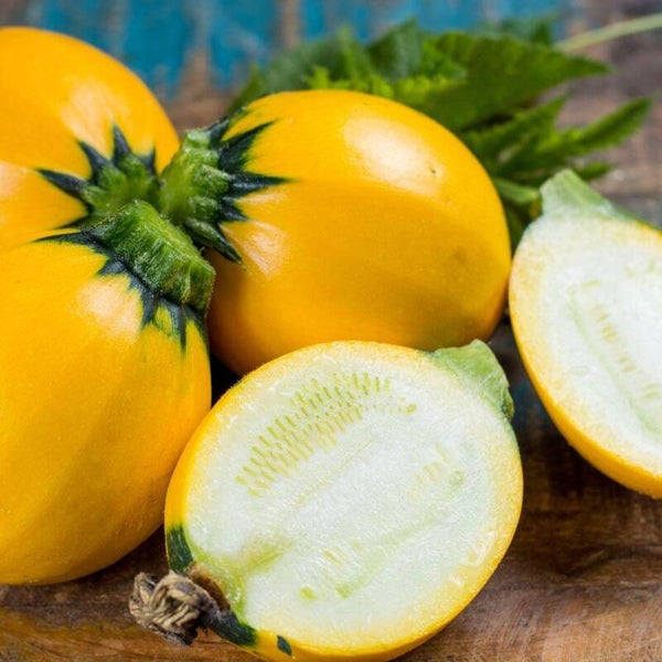 Courgette Geel Bol