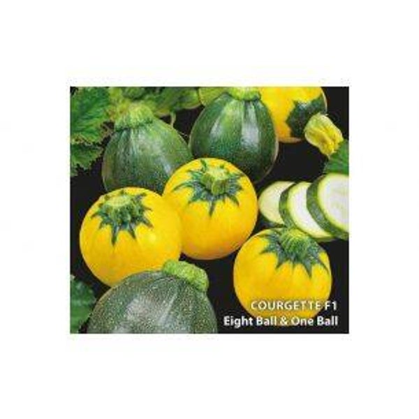 0621 Courgette Eight Ball & One Ball F1