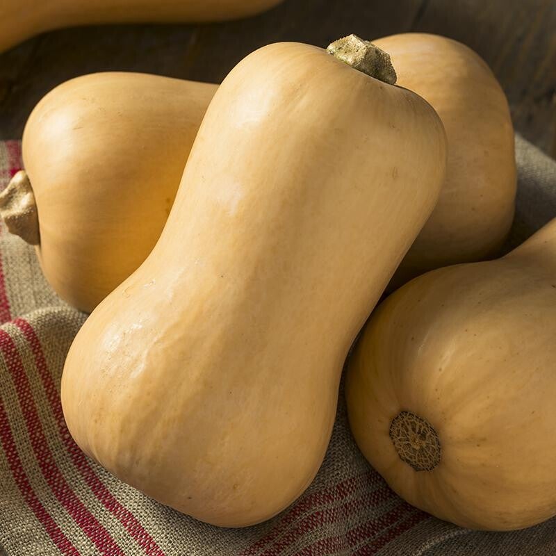 Flespompoen