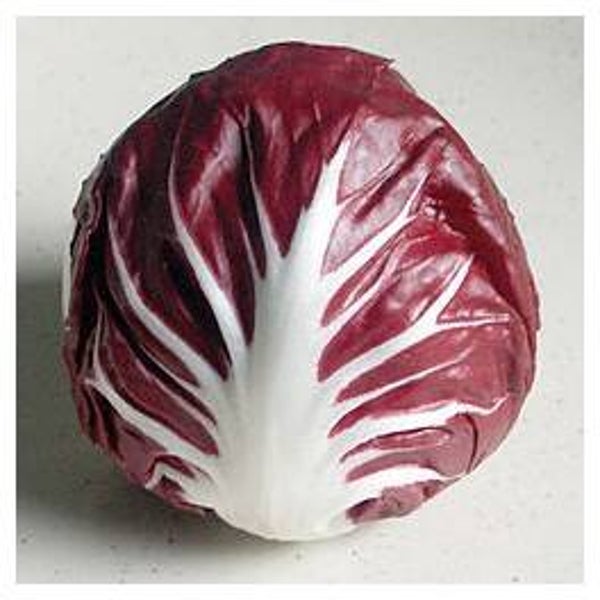 Radicchio Rosso