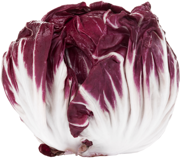 Radicchio Rosso Sla