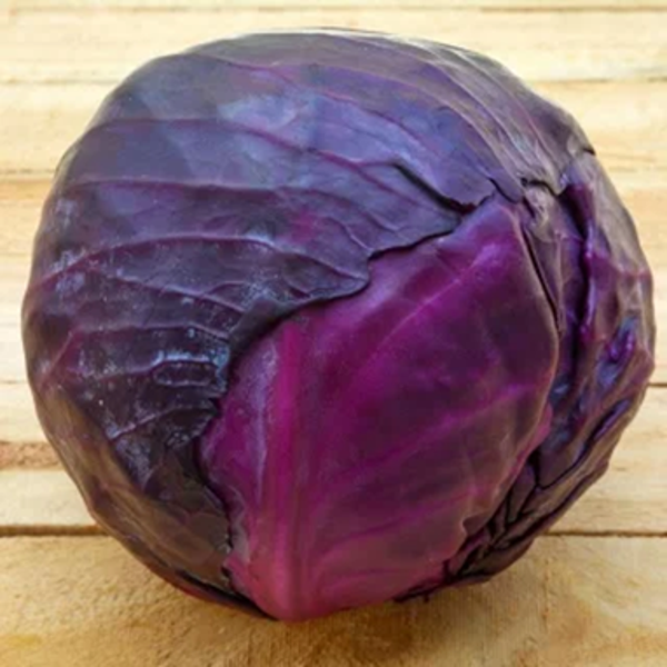 Rodekool