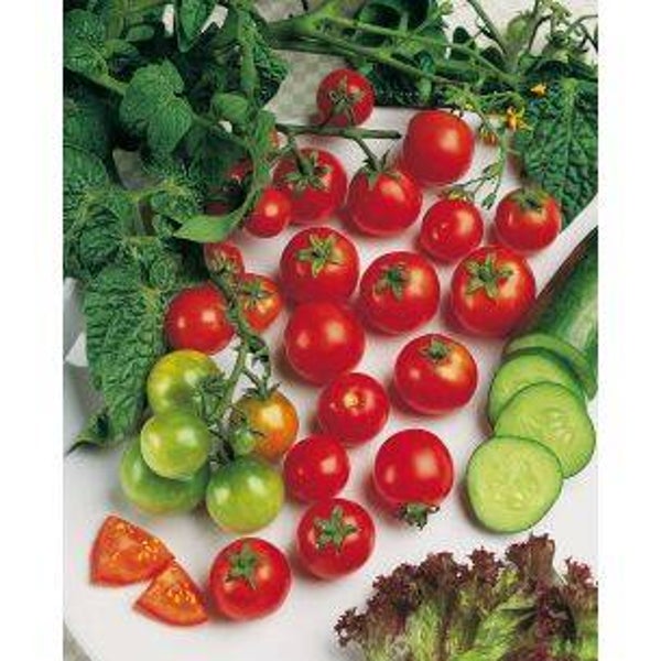 1710 Tomaten Sweet 100 F1 (kerstomaat)