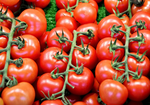 Tomaten Tros