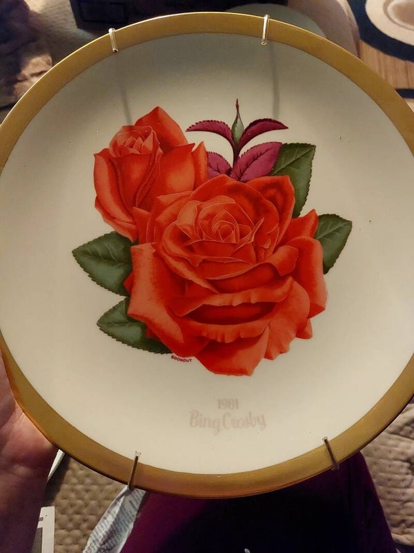 Collectible Plate