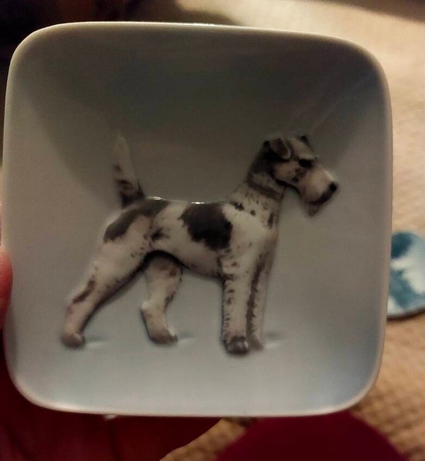 Collectible Trinket Dish