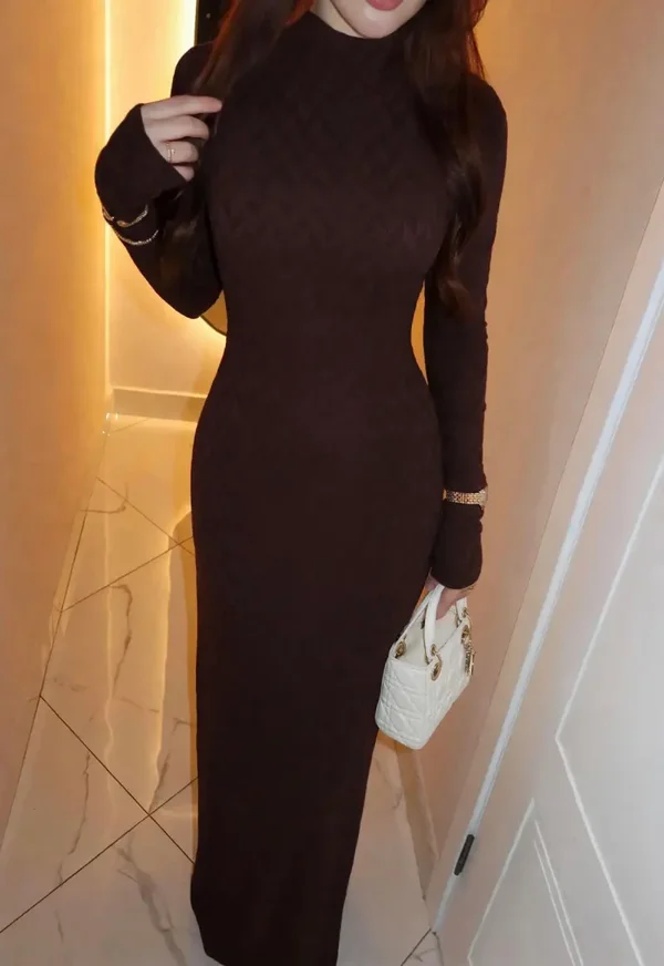 Turtleneck Dress