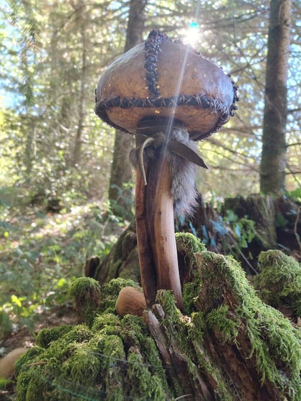 Rattle magic of the forest