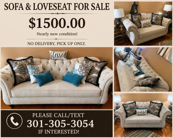 Elegant and Contemporary Style Sofa and Loveseat