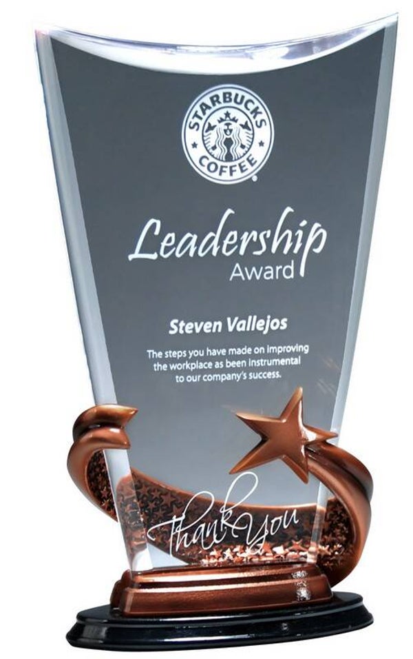 Bronze Brilliance Arch Acrylic Award