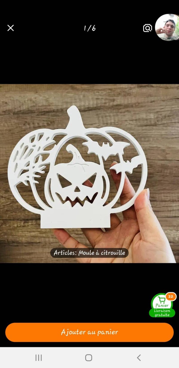 🦇🎃Citrouille avec chauve-souris🎃🦇