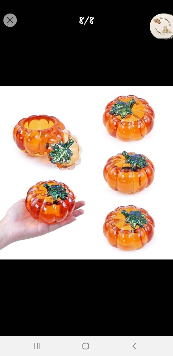 🎃citrouille avec feuille verte🎃