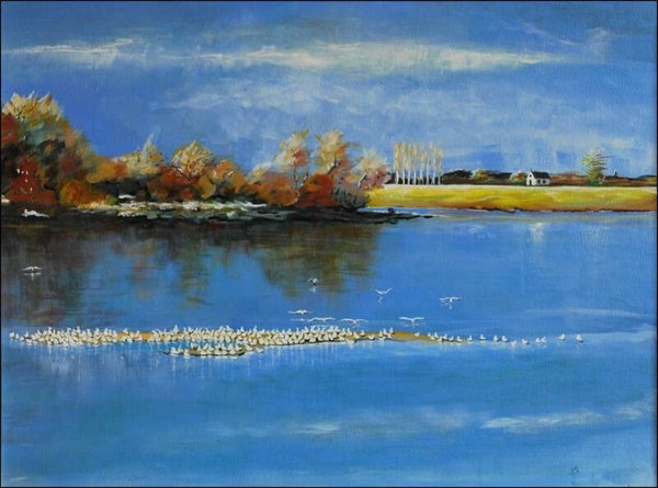 LA LOIRE LES YEUX COULEUR DE SABLE