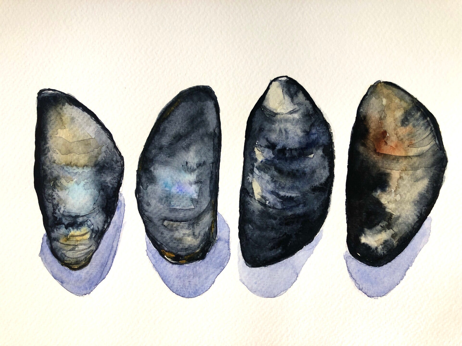 macarons in aquarel