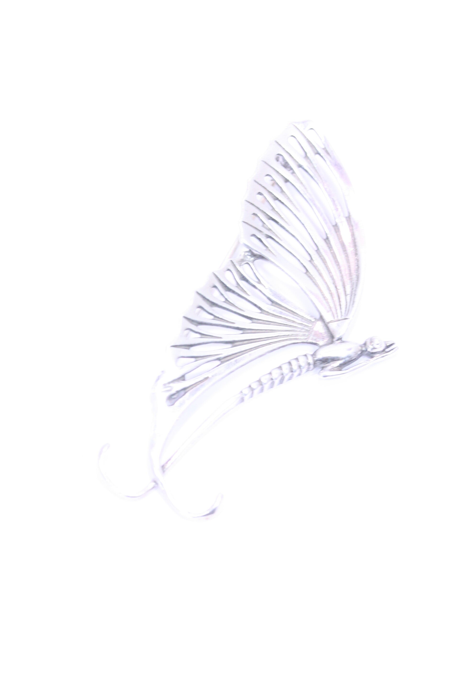 Zilveren Broche (Libelle)