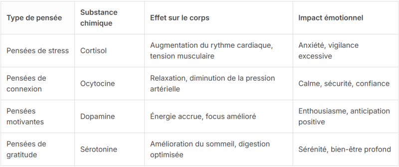 Impact des pensées sur la chimie du cerveau et les émotions comme cortisol, dopamine et ocytocine