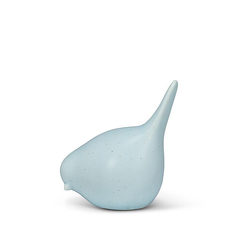 Oiseau Picosse Bleu Pâle