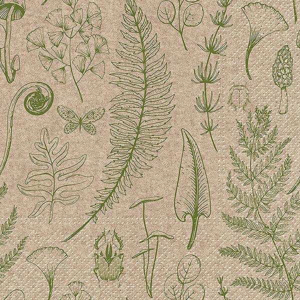 Serviettes en papier Nature