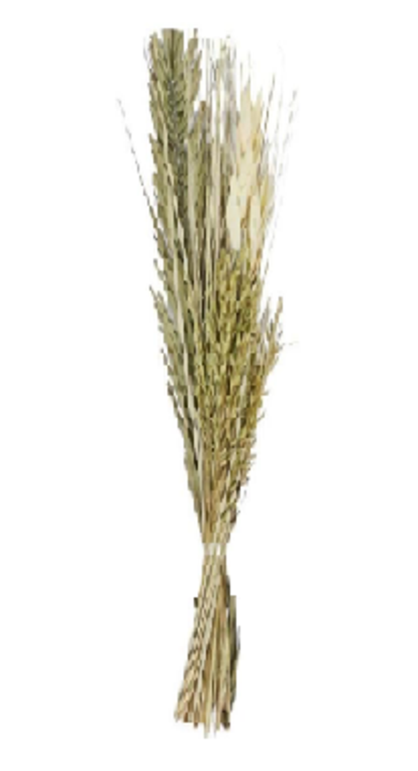 Bouquet Feuillage Séché Vert