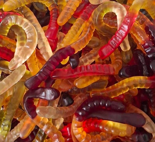 Vers luisant 100gr ref 77