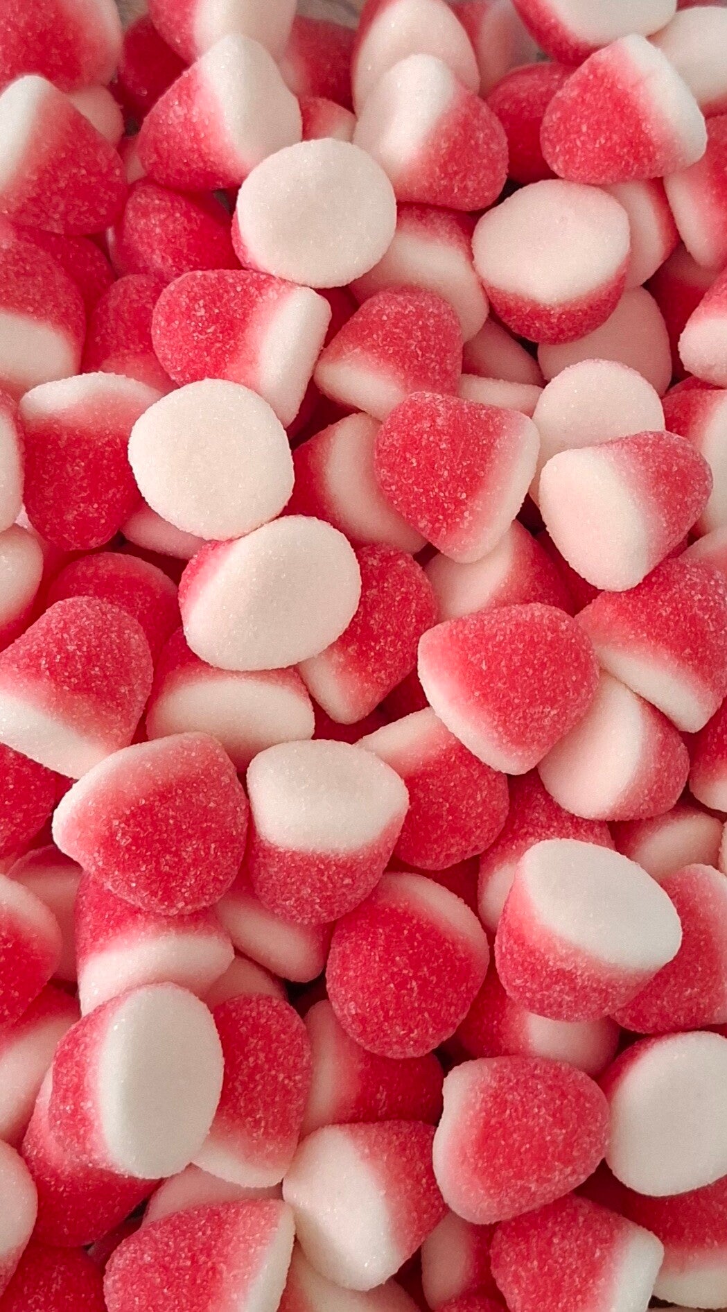 Bisous sucré 100gr ref 47