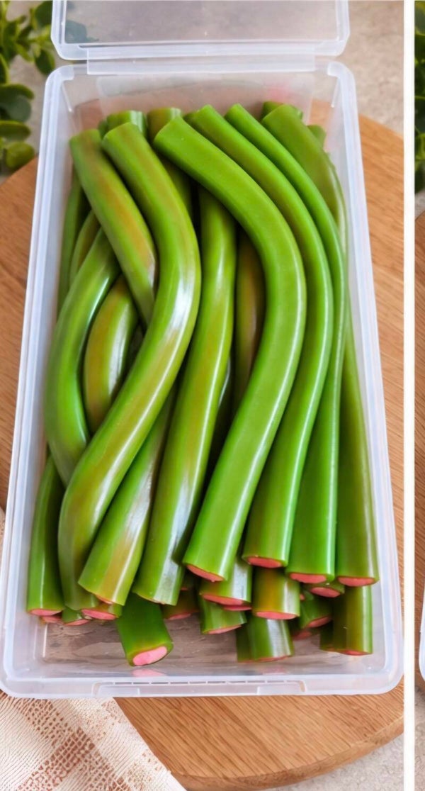 Boite jumbo pasteque lisse