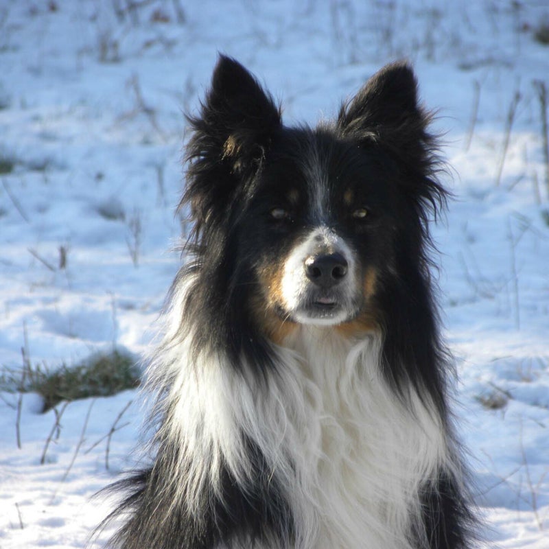duke10yearsold.jpg