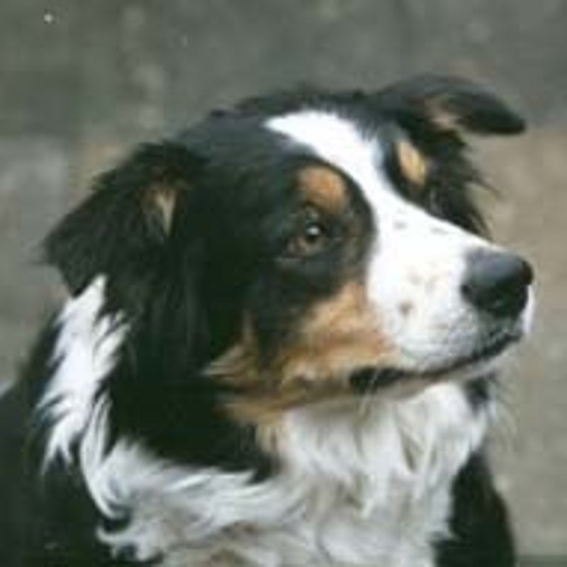 djill_close1-2.jpg