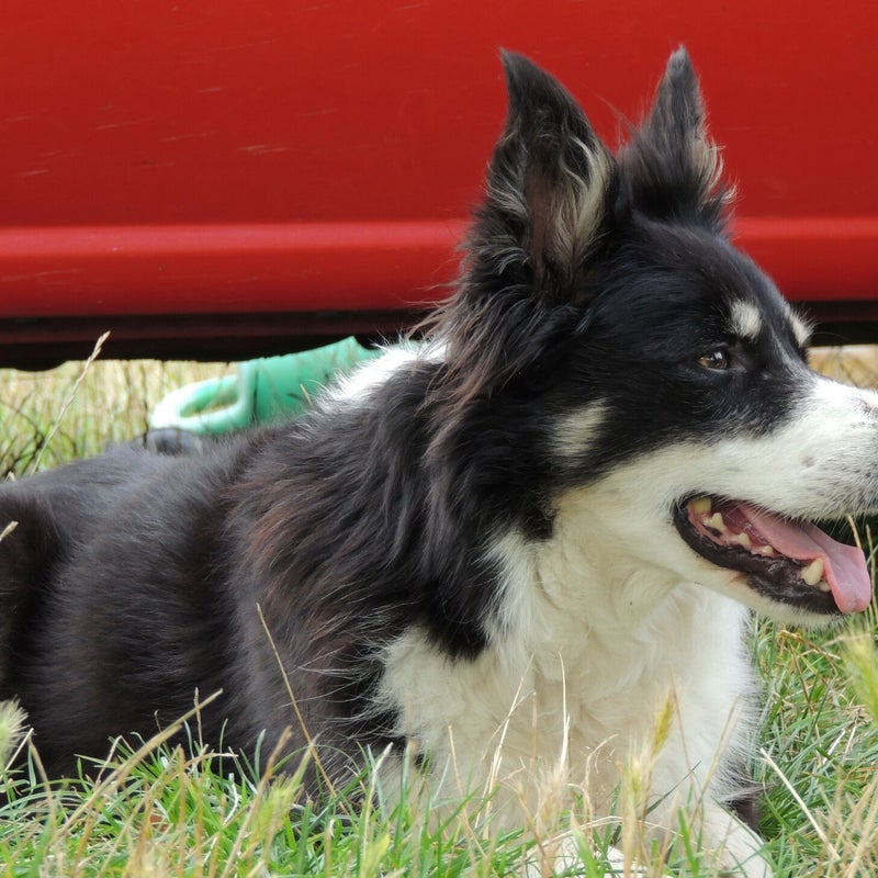 DSCN57312.jpg