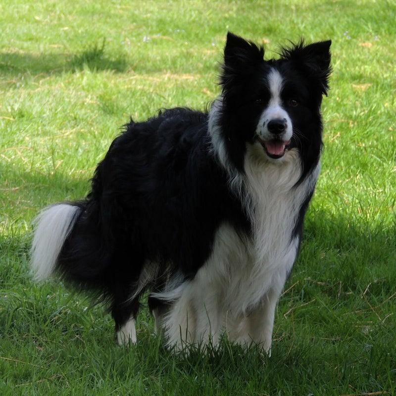 chester3-5-2014.jpg