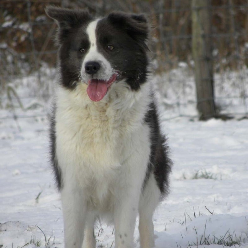 macey10years-2.jpg