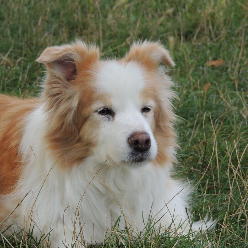 DSCN5650.jpg