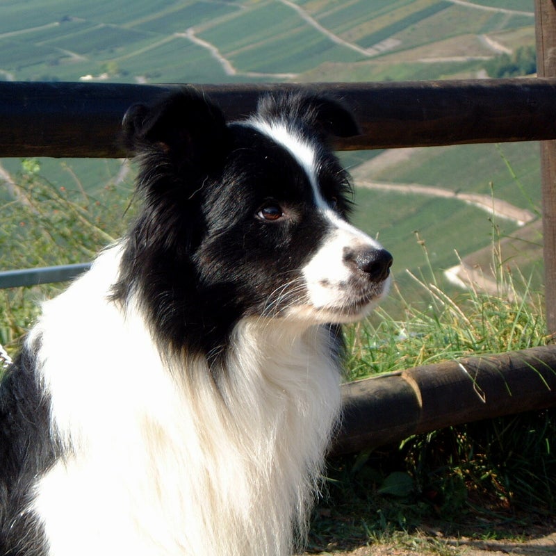 DSCF0042.jpg