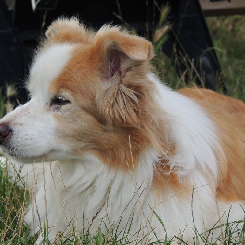 DSCN5648.jpg
