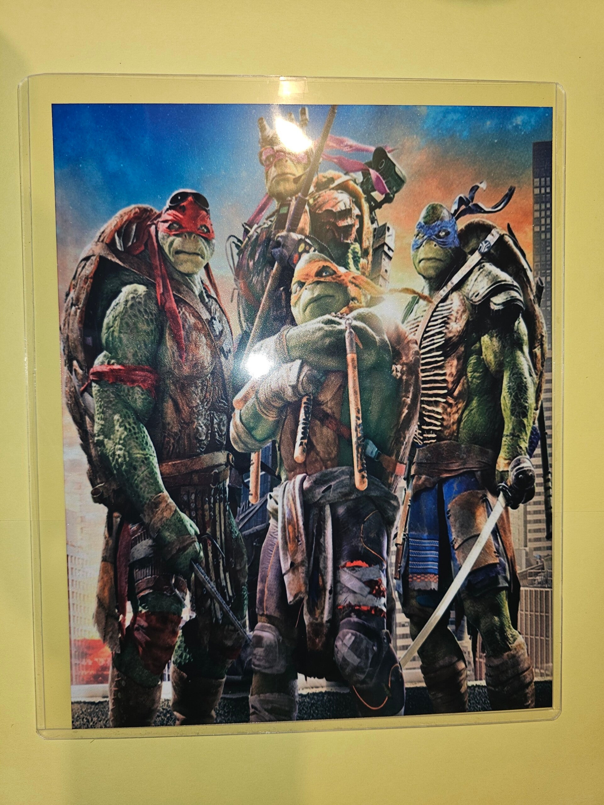 🐢 Teenage Mutant Ninja Turtles Metal Sign