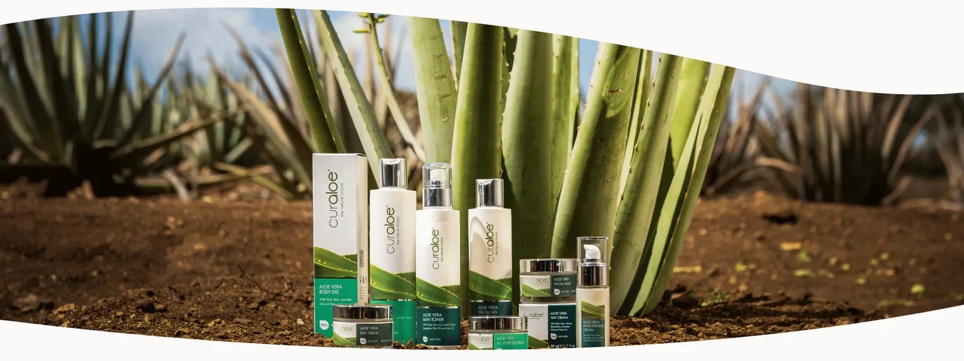 curaloe-plantage-curacao.jpg
