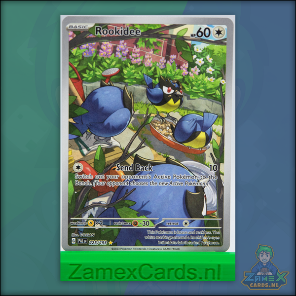 Rookidee - Paldea Evolved - (PAL 225)