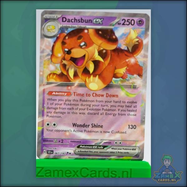 Dachsbun ex - Stellar Crown - (SCR 067)