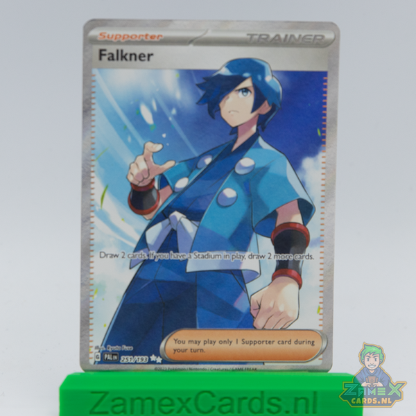 Falkner (PAL 251) - Paldea Evolved