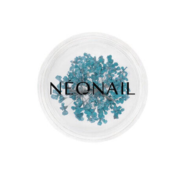 Dried Flowers 05 - Turquoise