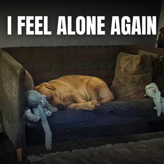 I Feel Alone Again