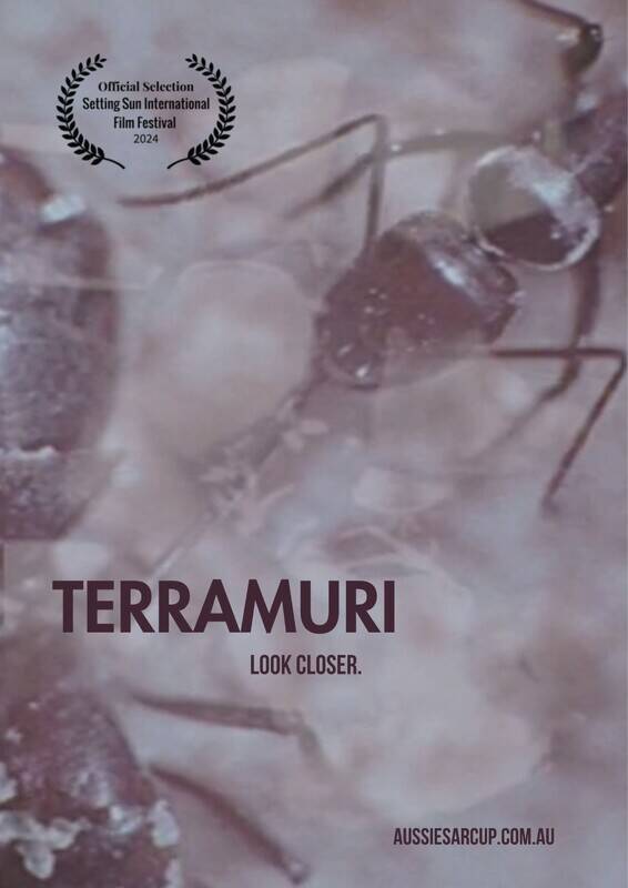 terramuri-poster-standard.jpg