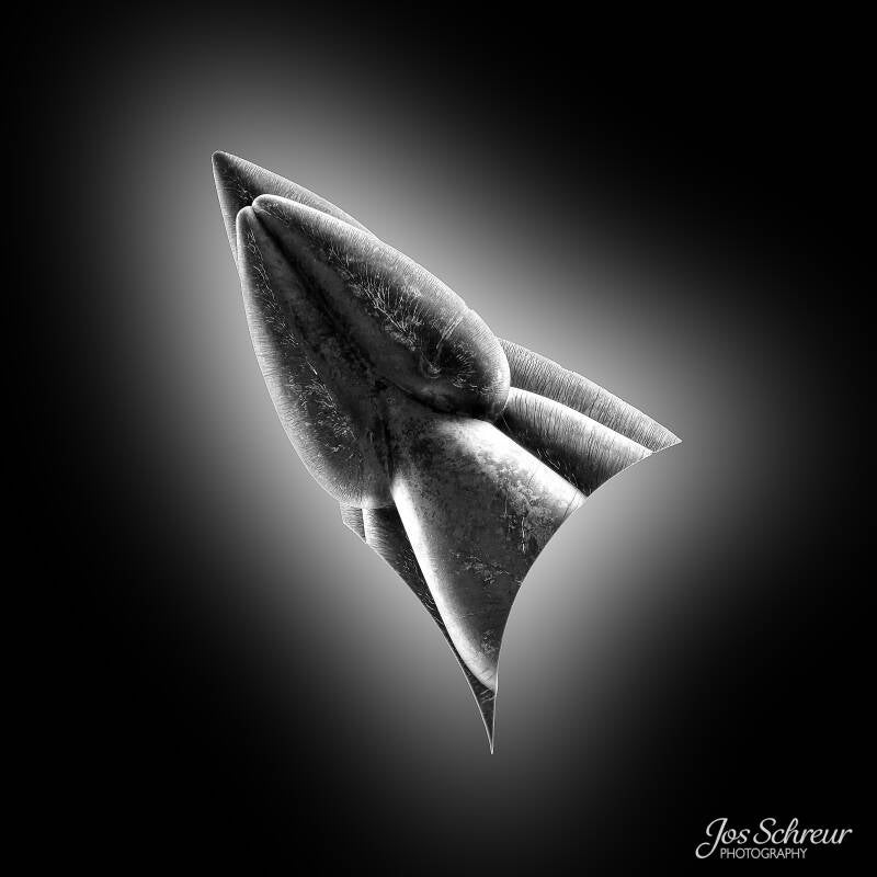 Rotterdam, Nederland