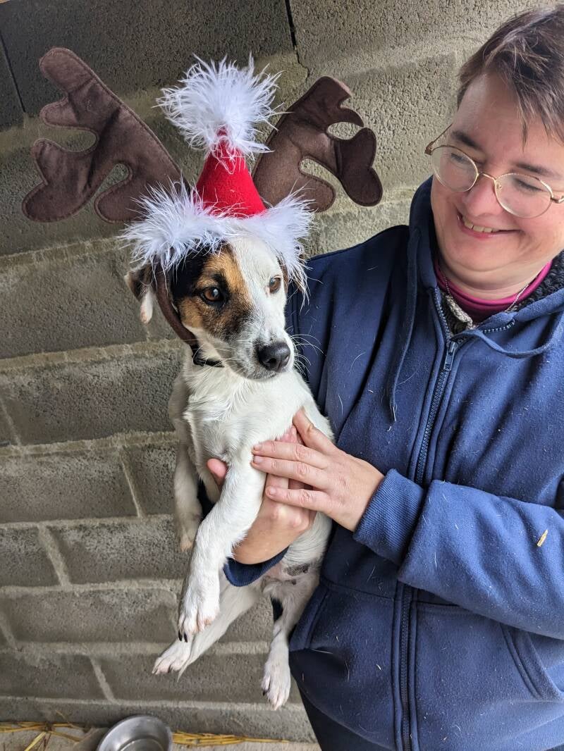pxl_20221221_114715112-mp-standard.jpg