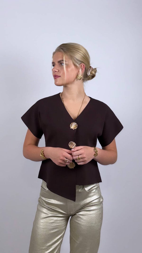 Brown Top with Golden Touch