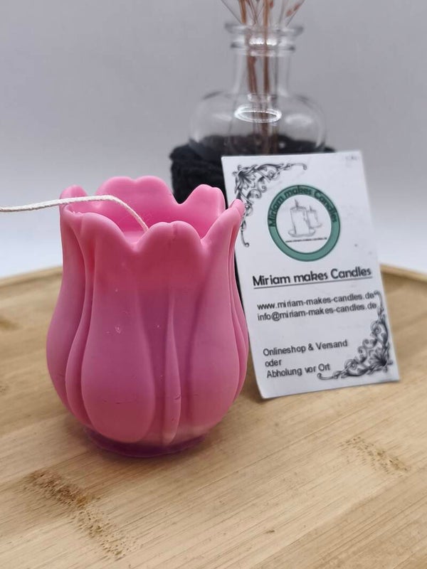 XL Tulpe