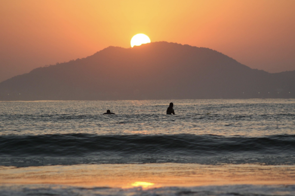 Surf Sol